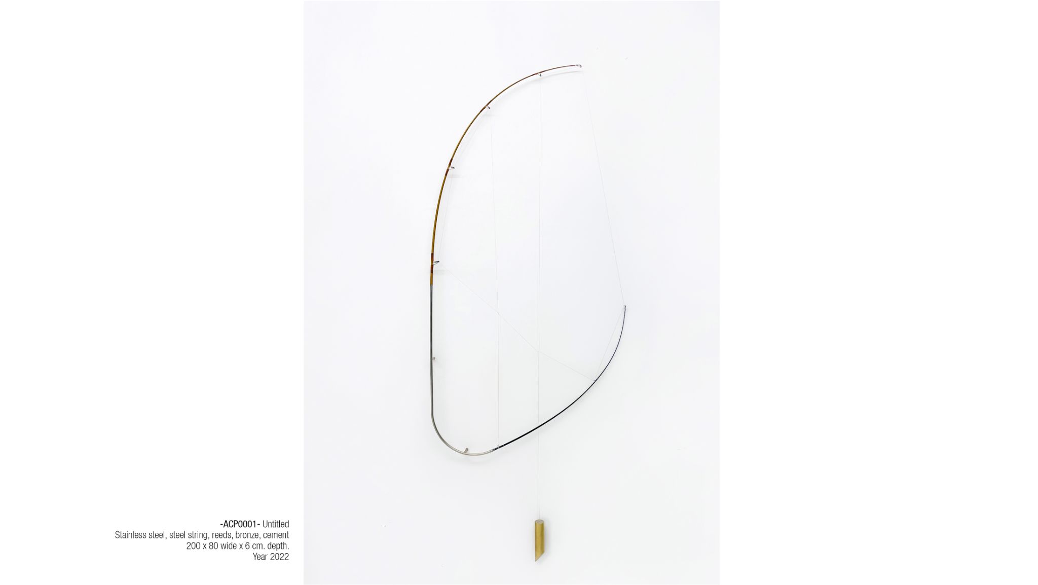 2025 DM port.para web. P26